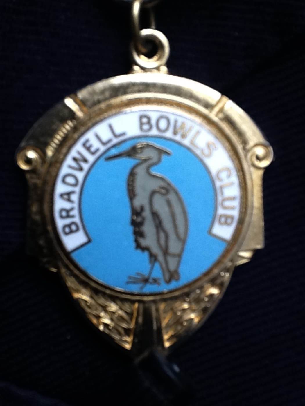 Badge, Medal & Trophy to Vector — 009 — Before 1