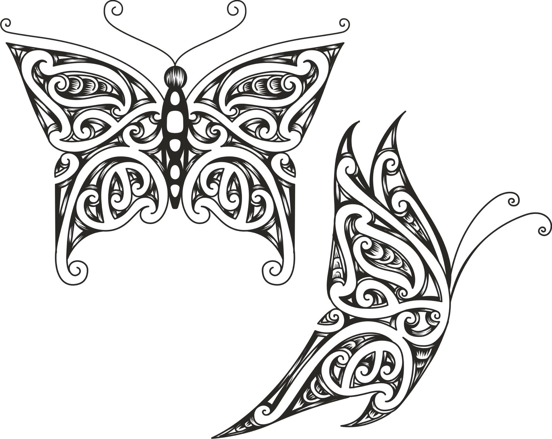 Hand-Drawn Art to Vector — 006 — After
