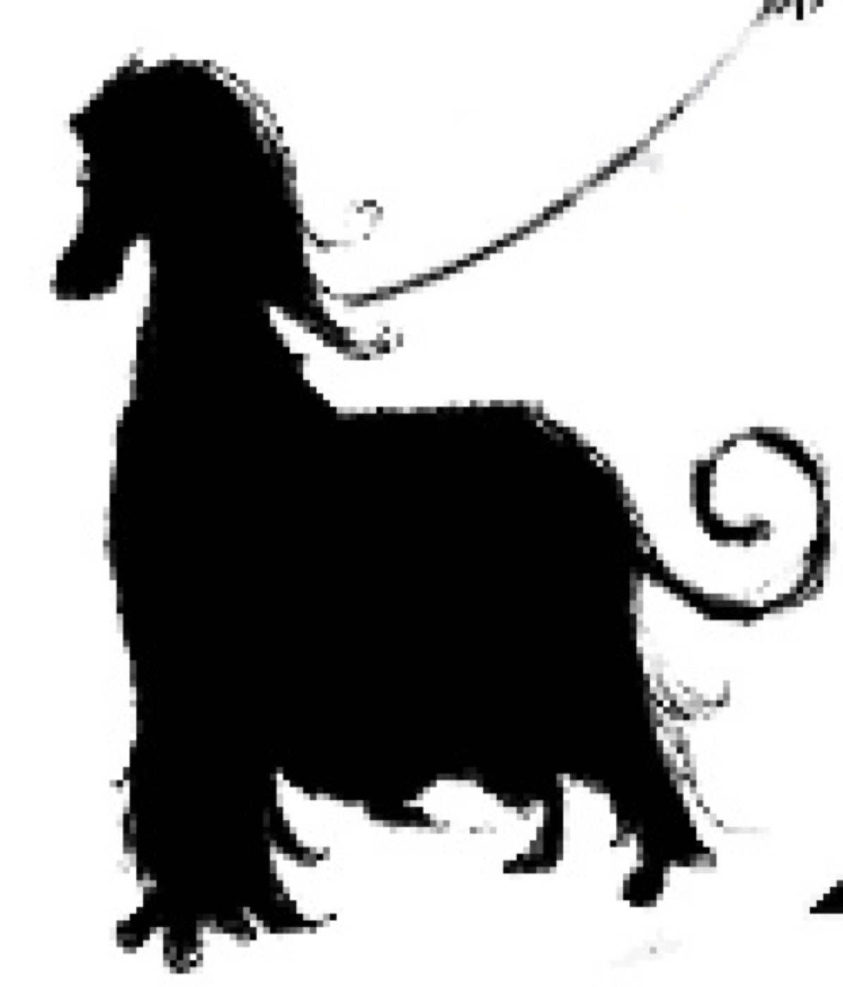 Silhouette Creation — 001 — Before 2