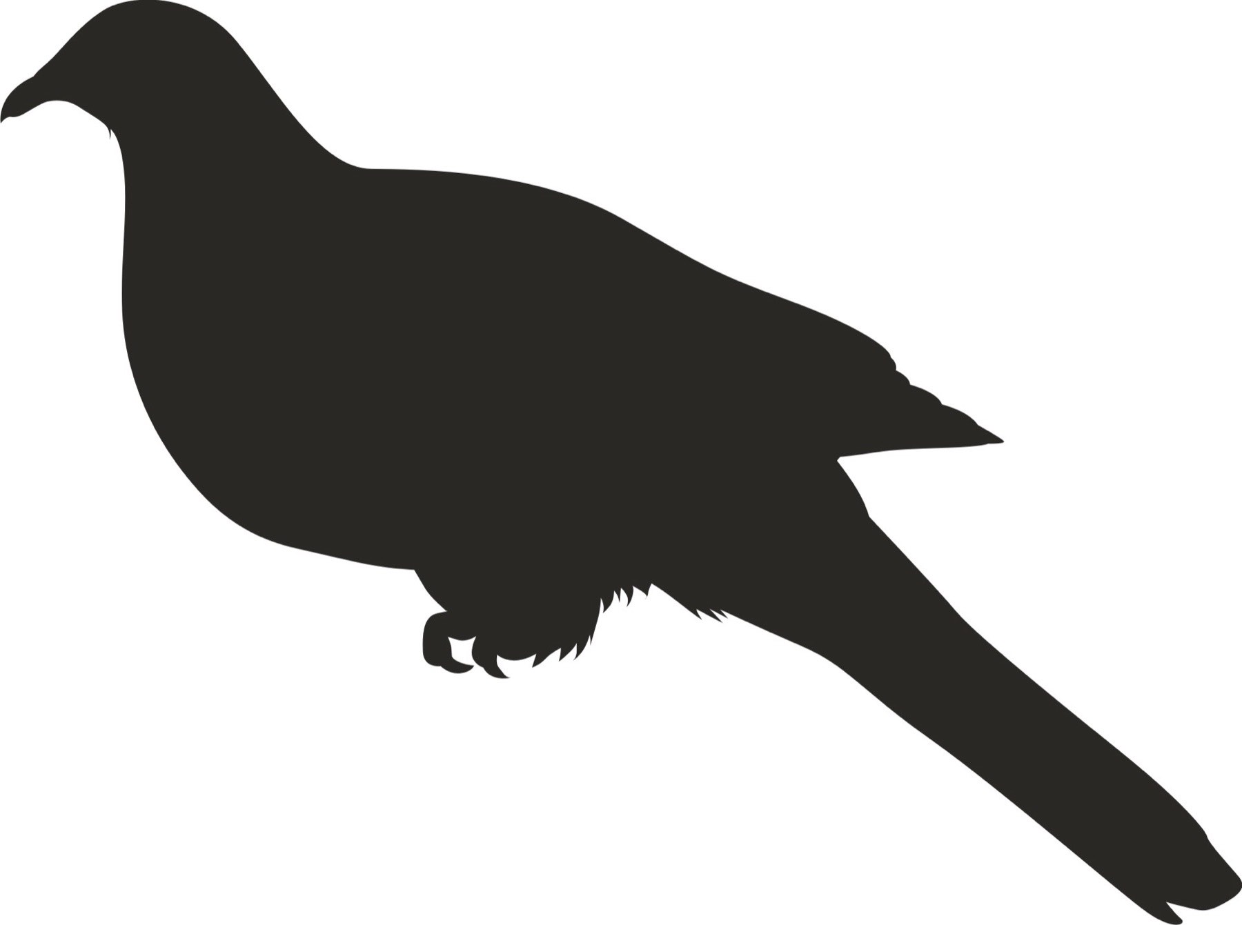 Silhouette Creation — 003 — After