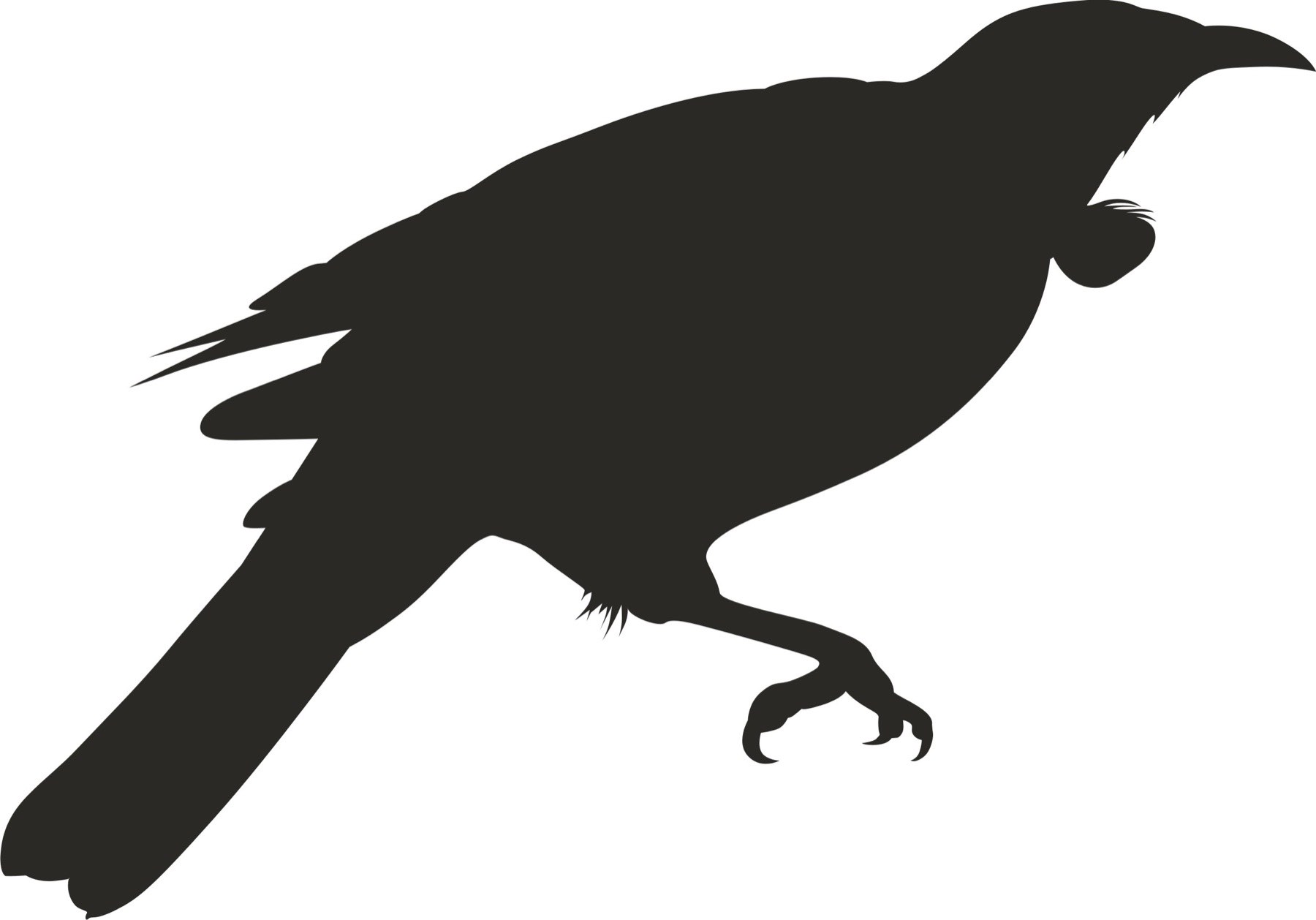 Silhouette Creation — 004 — After
