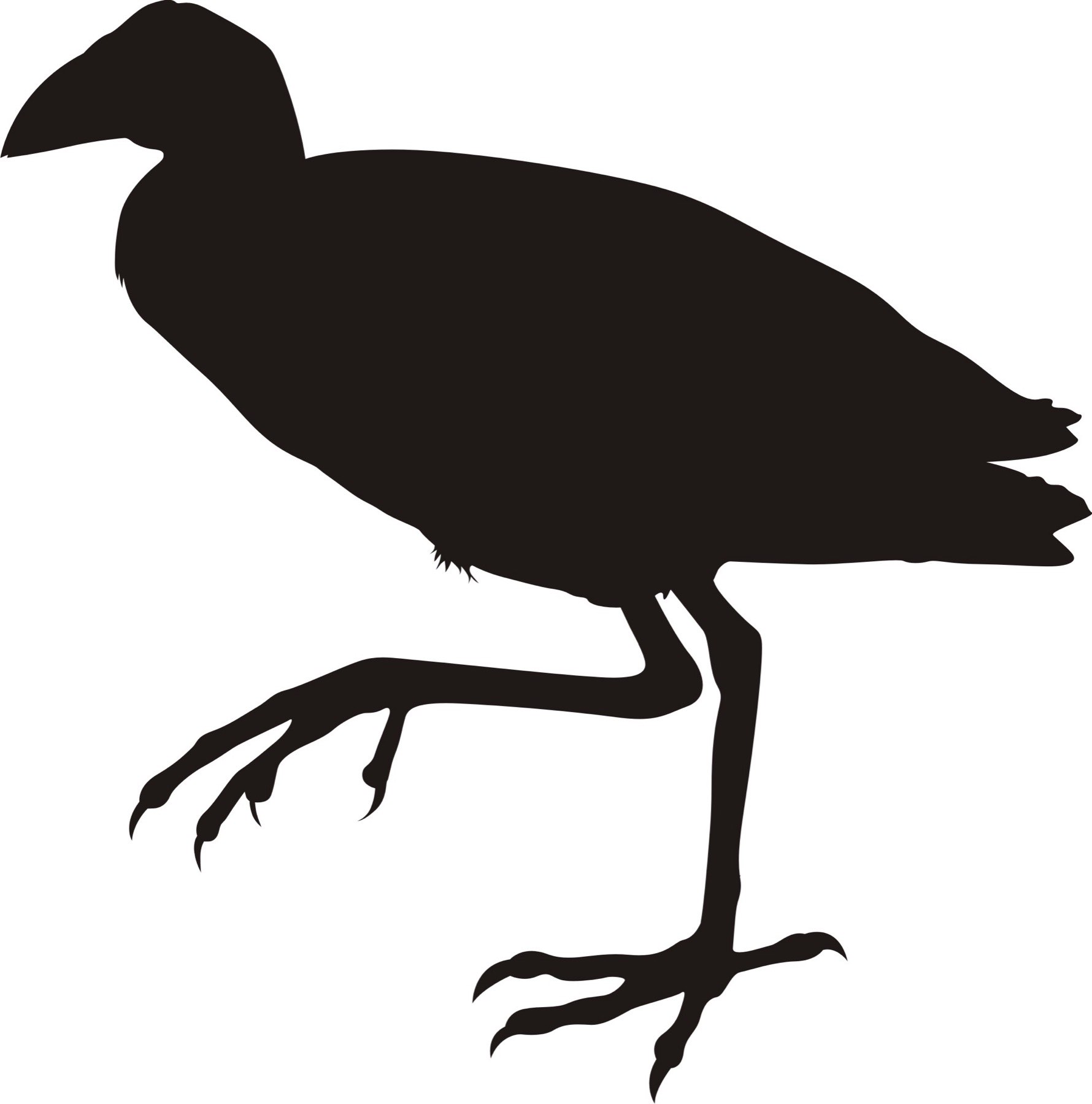 Silhouette Creation — 006 — After