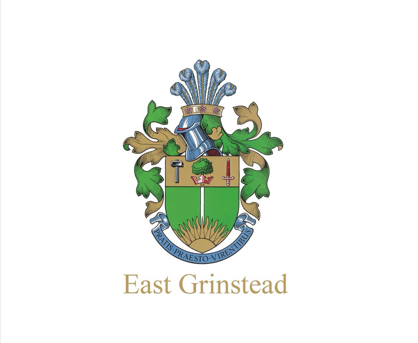 Complex Crest Creation — 002 — Before