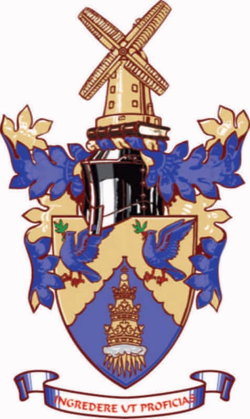 Complex Crest Creation — 005 — Before
