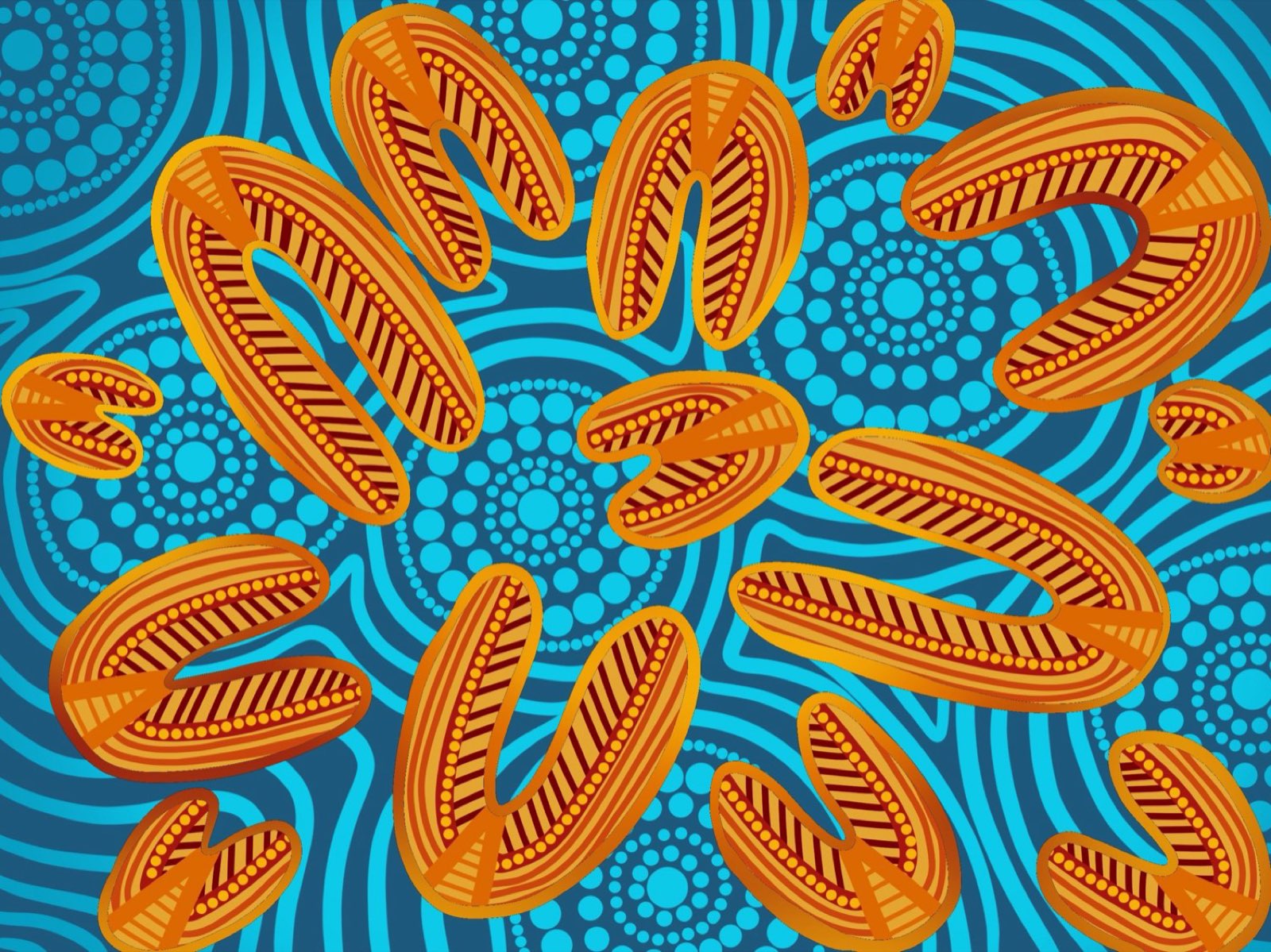 Indigenous Design — 001