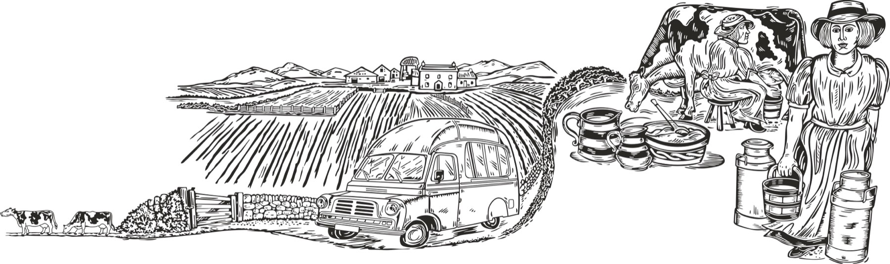 Vehicle Wraps Designs — 005 — After